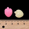 Fruit Theme Plastic Beads KY-F023-03A-3