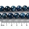 Natural Dyed Kyanite/Cyanite/Disthene Round Beads Strands G-N0150-05-12mm-01-4