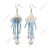 Handmade Seed Beads Tassel Dangle Earrings EJEW-FS00075-1