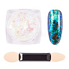 Nail Art Glitter Powder MRMJ-Q046-009H-1