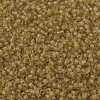 MIYUKI Delica Beads SEED-MY11-DB0771-3