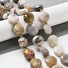 Natural Crazy Lace Agate Beads Strands G-NH0004-032-2