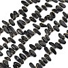 Natural Black Obsidian Beads Strands LS-G-F821-C02-01-2