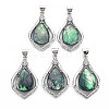 Natural Abalone Shell/Paua Shell Pendants PALLOY-N166-004-B01-RS-1