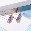 Natural Amethyst Chip Beaded Dangle Earrings EJEW-JE04788-05-2