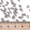 Baking Paint Glass Seed Beads SEED-A033-05C-4