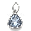 304 Stainless Steel Cubic Zirconia Pendant ZIRC-P080-B06-1