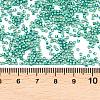 MIYUKI Delica Beads SEED-X0054-DB2505-3