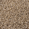 MIYUKI Delica Beads SEED-X0054-DB1731-3