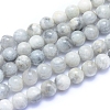 Natural Grey Moonstone Beads Strands G-I279-C01-8mm-1