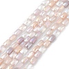 Gradient Color Electroplate Glass Bead Strands X-GLAA-E042-01E-1