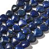 Natural Lapis Lazuli Beads Strands G-R190-10mm-54A-2