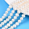 Natural Cultured Freshwater Pearl Beads Strands PEAR-N013-06R-1