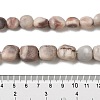 Natural Zebra Jasper Beads Strands G-A247-03-2