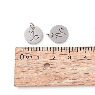 Non-Tarnish 304 Stainless Steel Charms STAS-Q201-T445-10S-1