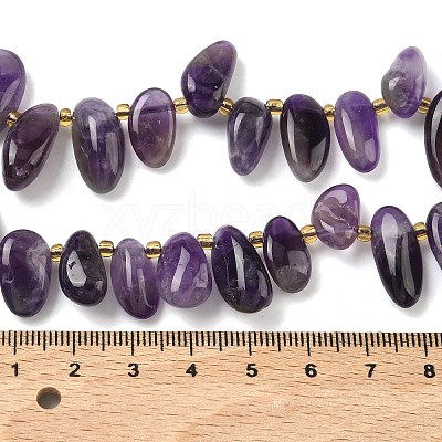 Natural Amethyst Beads Strands G-P604-A16-01-1