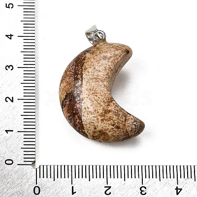 Natural Picture Jasper Pendants G-F820-02F-1