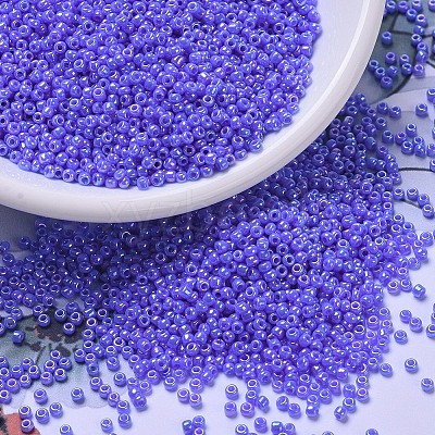 MIYUKI Round Rocailles Beads X-SEED-G007-RR0483-1