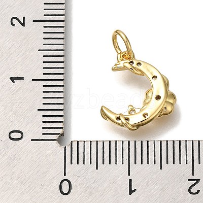 Rack Plating Brass Micro Pave Cubic Zirconia Charms KK-I720-61G-1
