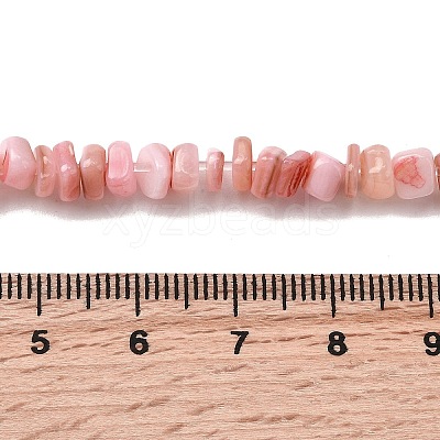 Natural Freshwater Shell Beads SHEL-B003-01N-1