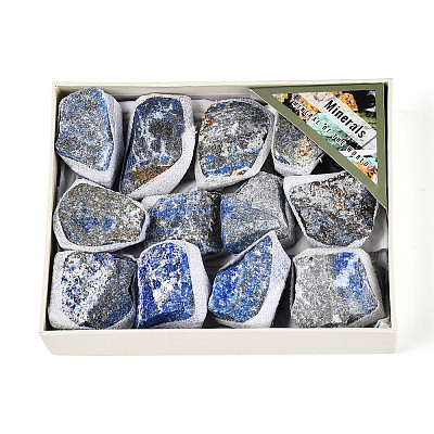 Natural Lapis Lazuli Geode Cornucopia Mineral Specimen G-N347-13B-1