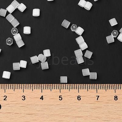 Glass Seed Beads X1-SEED-H002-D-A801-1