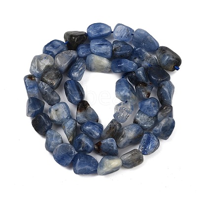 Natural Kyanite Beads Strands G-Q060-E17-1