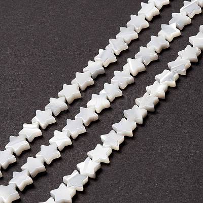 Natural Trochid Shell/Trochus Shell Beads SSHEL-O001-25B-02-1