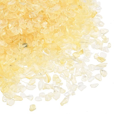 Glass Chip Beads GL-CBAB547-02-1