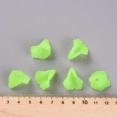 Transparent Acrylic Bead Caps PL551-C18-1