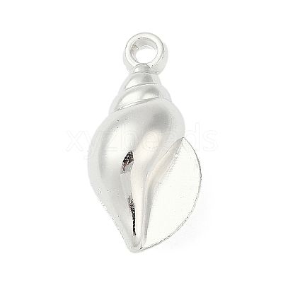 CCB Plastic Pendants CCB-D278-12P-1