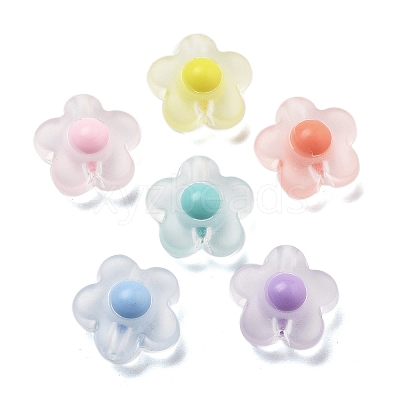 Frosted Transparent Acrylic Beads OACR-A032-12B-1