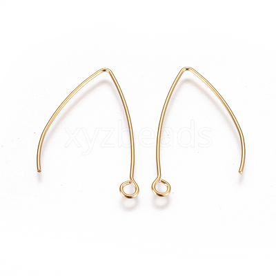 304 Stainless Steel Earring Hooks STAS-F227-26A-G-1