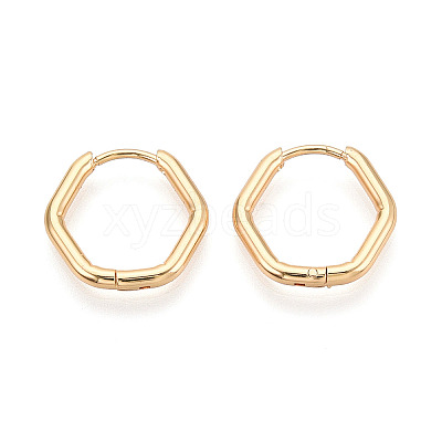 304 Stainless Steel Hoop Earrings STAS-T074-22G-1