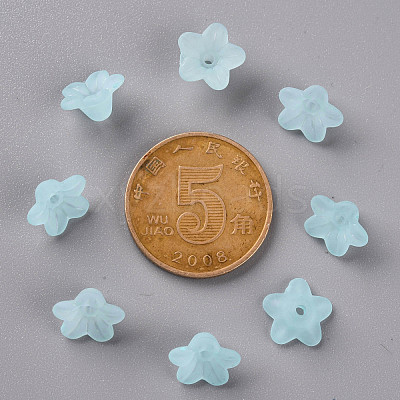Transparent Acrylic Beads PL554-11-1