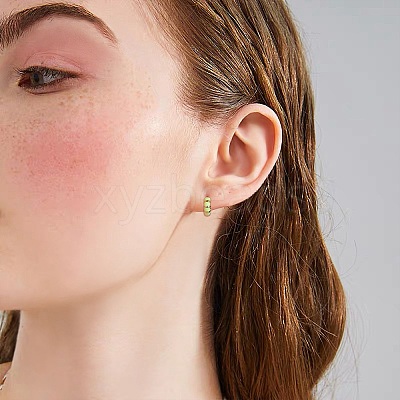 Enamel Striped Thick Hoop Earrings JE1110D-1