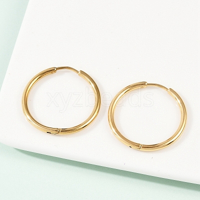 304 Stainless Steel Huggie Hoop Earrings EJEW-G272-02-20mm-G-1
