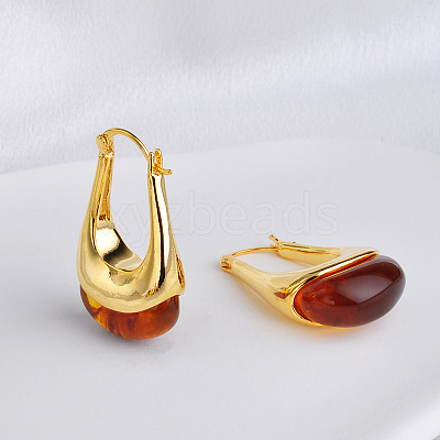 Brass Resin Hoop Earrings FS-WG9E07E-05-1