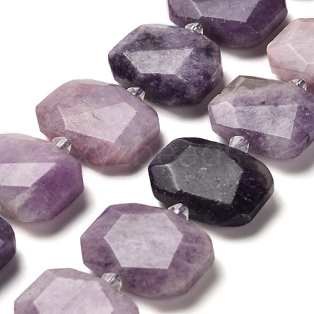 Natural Lepidolite Beads Strands G-H078-B14-01-1