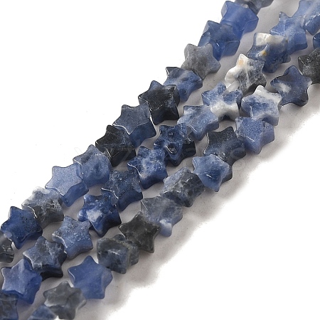 Natural Sodalite Beads Strands G-G085-B18-01-1