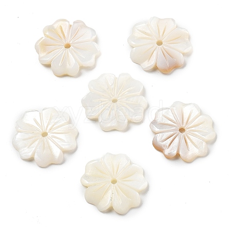 Natural Freshwater Shell Beads SHEL-Z002-02-1