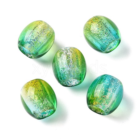 Painted Acrylic Beads OACR-Z010-03B-1