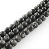 Natural Larvikite Round Beads Strands LS-G-R342-10mm-09-1