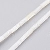 Natural Shell Bead Strands X-BSHE-P017-03-1