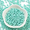 Baking Paint Glass Seed Beads X1-SEED-A032-02C-2