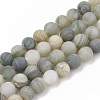 Natural Green Line Jasper Beads Strands G-T106-230-1