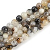 Natural White African Opal Beads Strands G-H062-A06-05-1