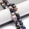 Natural Sodalite Beads Strands G-K380-A09-01-2