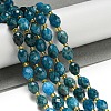 Natural Apatite Beads Strands G-N342-48-2