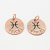 Alloy Pendants PALLOY-S083-05RG-1